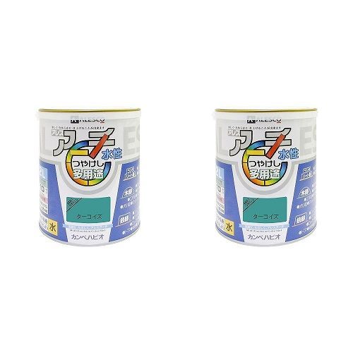 カンペハピオ - アレスアーチ - ターコイズ - 2L 2缶セット【BT-65