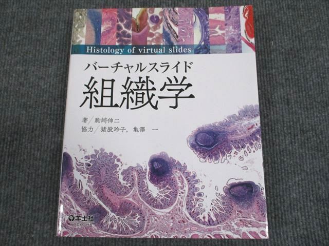 VL93-092 羊土社 バーチャルスライド 組織学 2020 駒崎伸二 23M3D