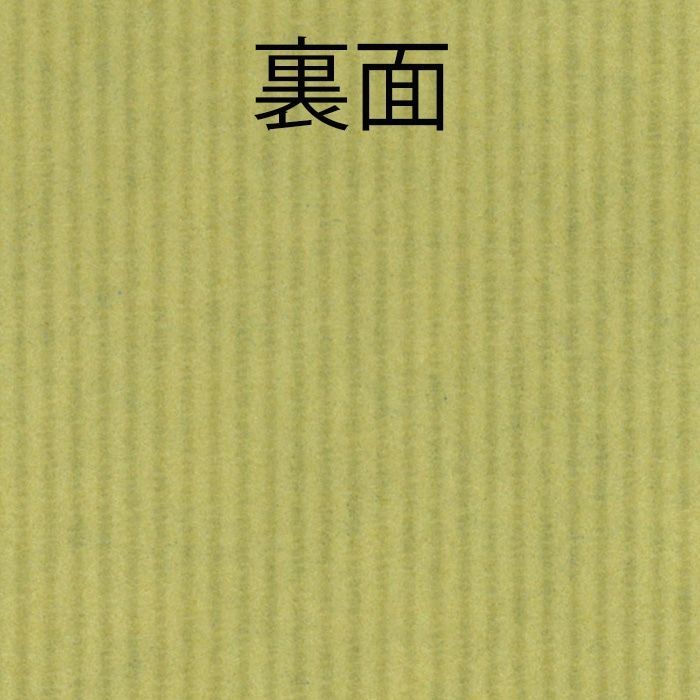 筋無地 ネイビーN