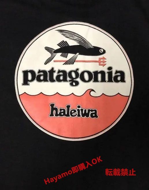 Patagonia新品パタゴニア半袖シャツホワイトカラー新品パタゴニア半袖シャツ 黒半袖シャツ ブラック