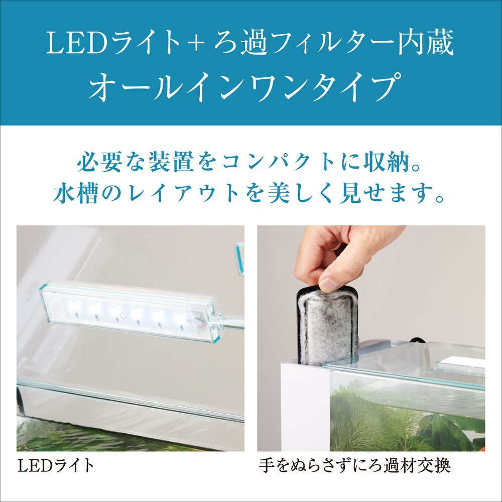 アワーズ ホワイト