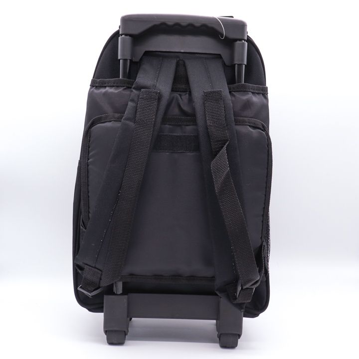 アニエスエシュテル キャリーバッグ リュックサック 2way トラベルバッグ 鞄 アニエスエシュテル キャリーバッグ リュックサック 2way
