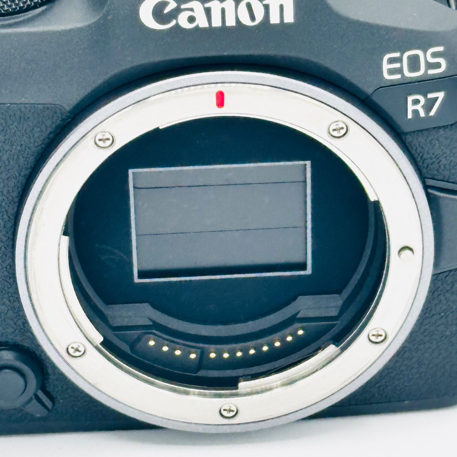 Canon EOS R ミラーレス一眼 ボディ 美品 EOS R7・ボディー ミラーレスカメラ EOS R7 1台 Canon 【通販