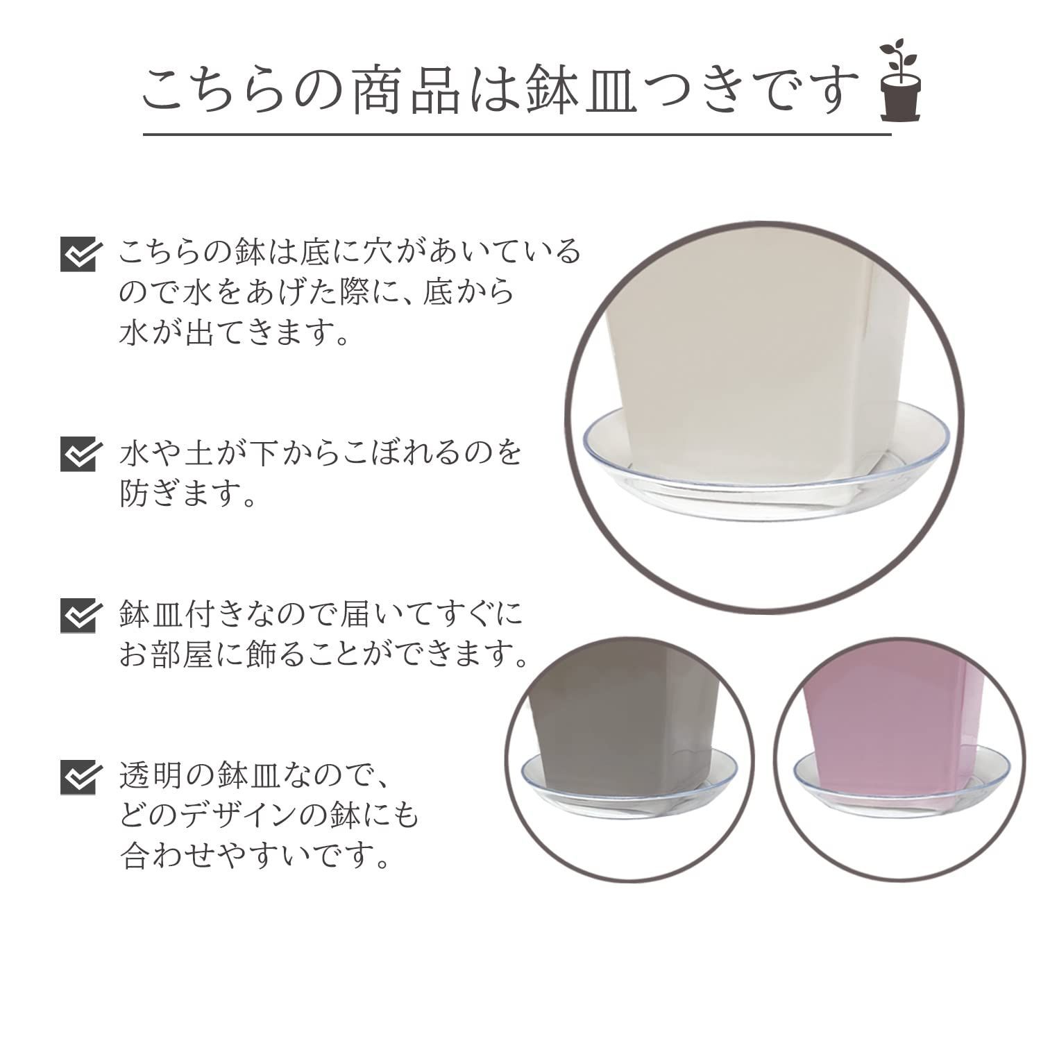 花のギフト社 室内