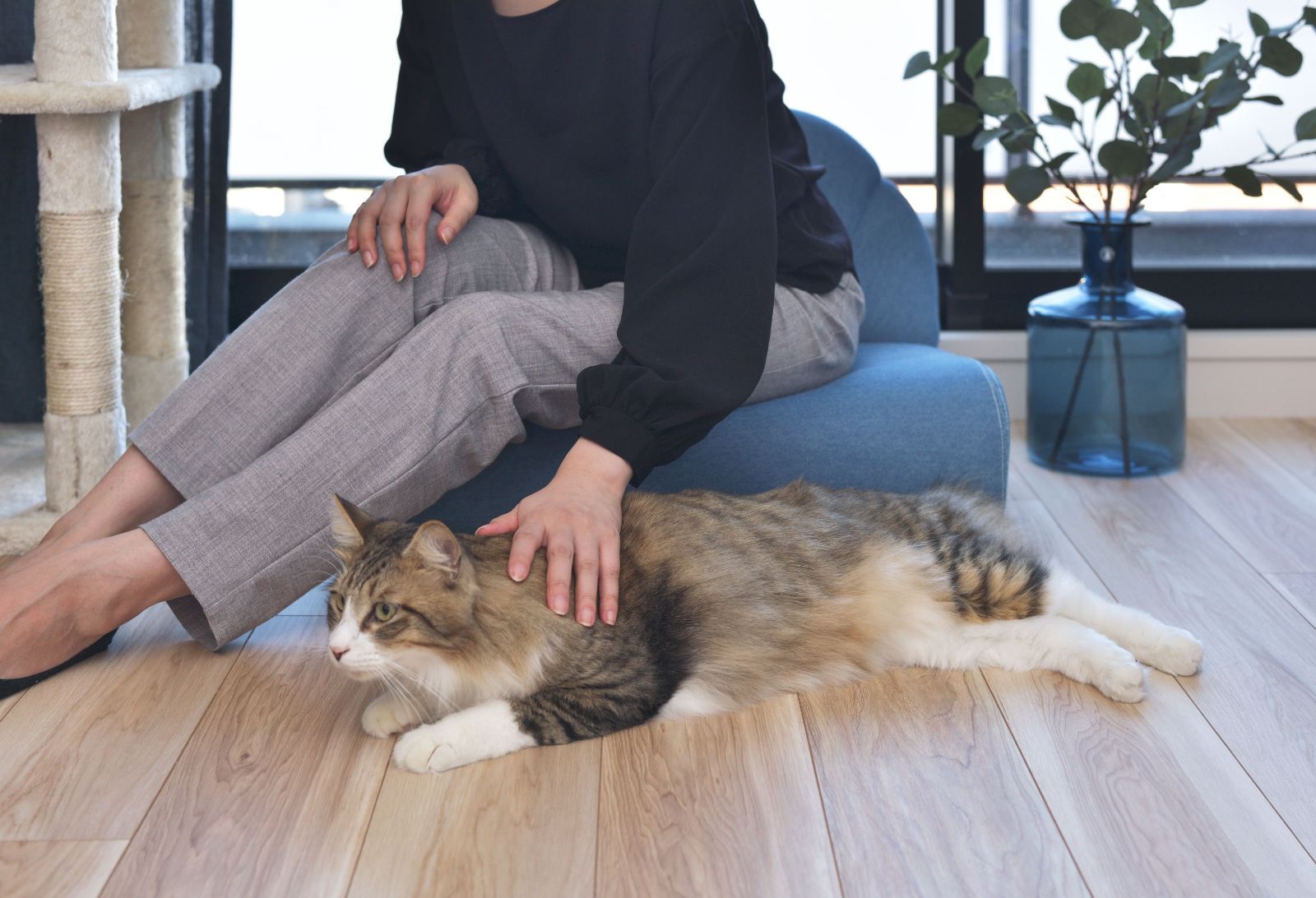 本州送料無料 ペットソファ