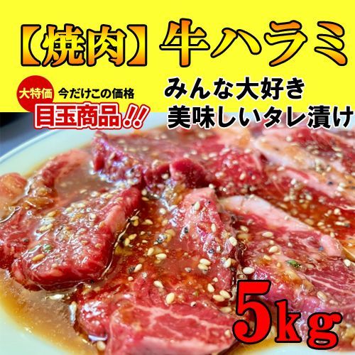 大盛牛ハラミ5kg【焼肉用】大人気のステーキカットBBQ、バーベキュー送料無料♪