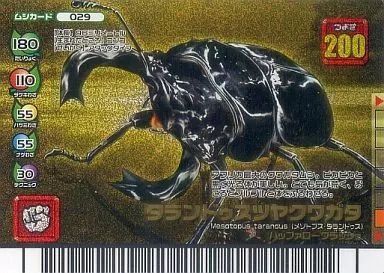 「高評価！」注目のレビュ 中古】ムシキング 029[金]：タランドゥスツヤクワガタ(左向き その他
