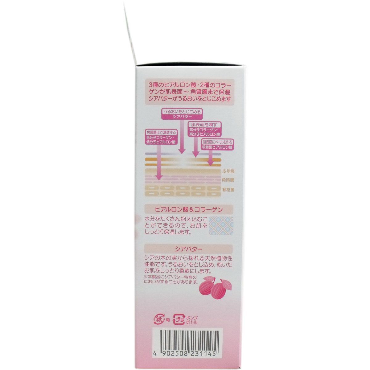 5セット