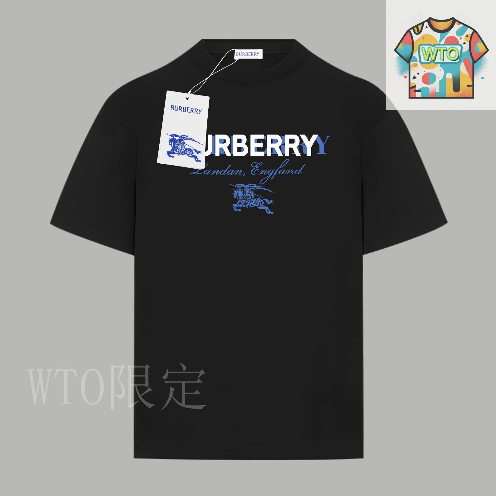 BURBERRY バーバリー シグニチャー クラシック ロゴ T シャツ BURBERRY クリアランス バーバリー ロゴTシャツ レディース