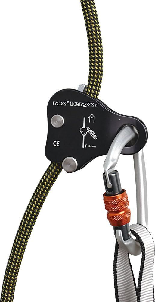 ADA Pollen Glass 水草育成用 レイアウト用品 ADA POLLEN GLASS BEETLE