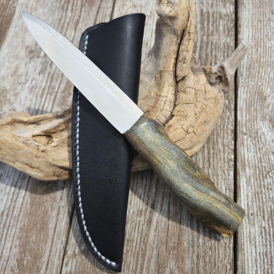 虹彩珊瑚のマキリ ペルシアンターコイズ