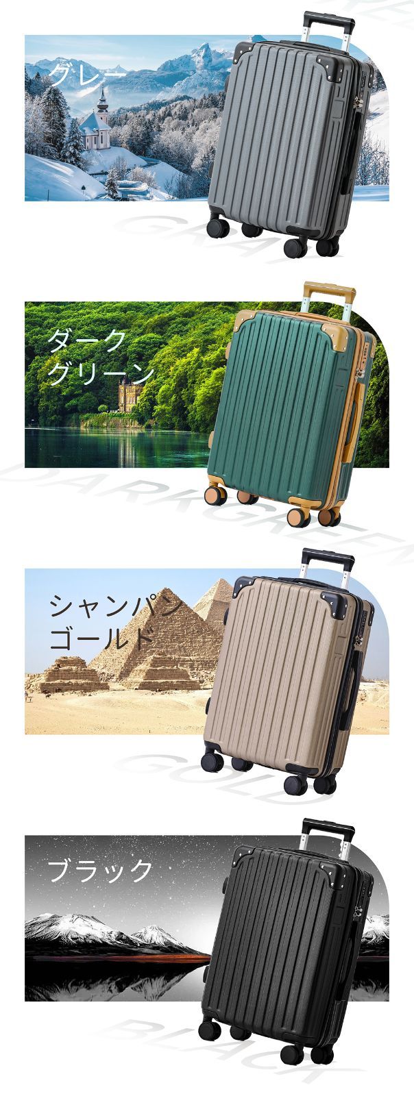 レディース