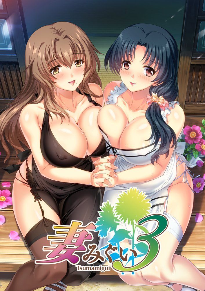 妻みぐい3 特典なし