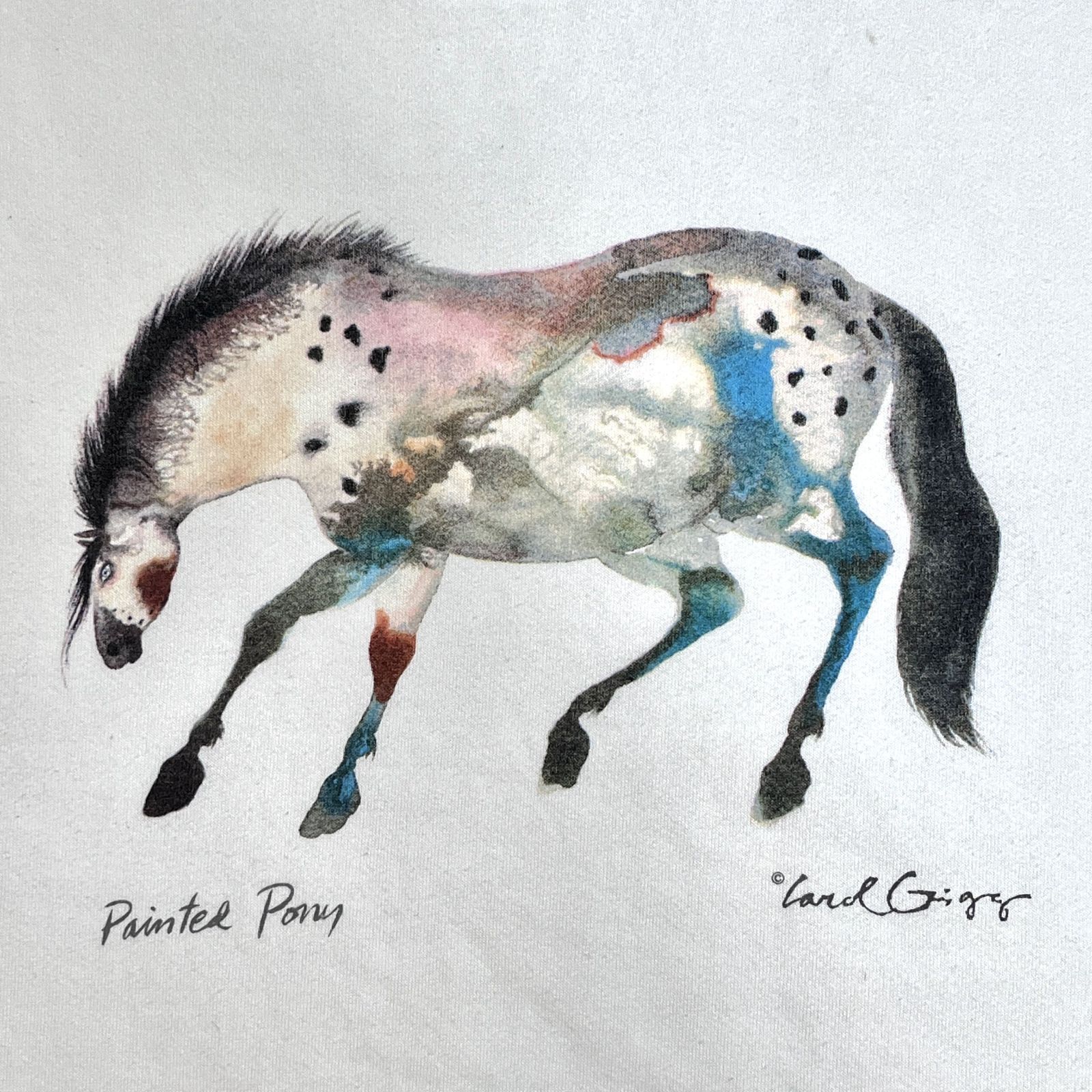 80s-90s USA製 JERZEES SUPER SWEATS ジャージーズ Painted Pony 