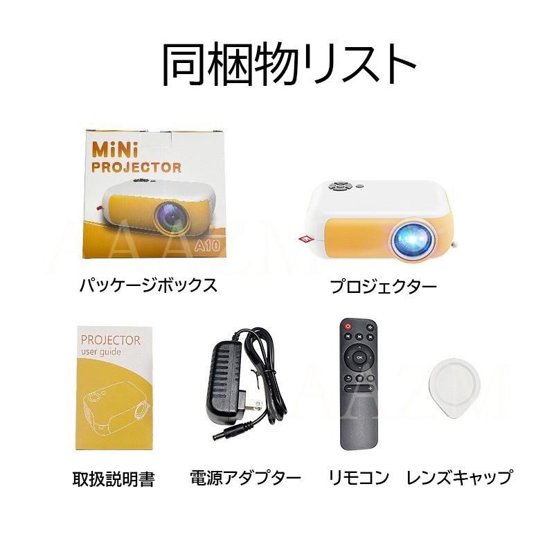 本体