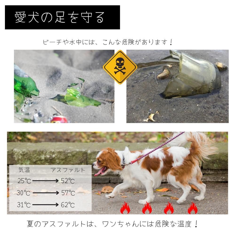 小型犬 中型犬