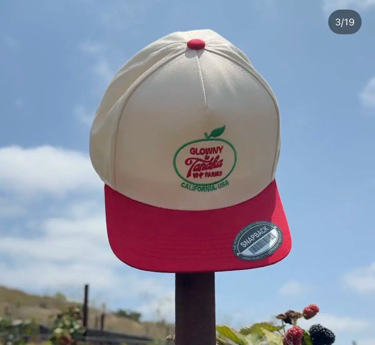 GLOWNY 田中 雪男 パームス Tanaka Farms ベースボールキャップ 帽子