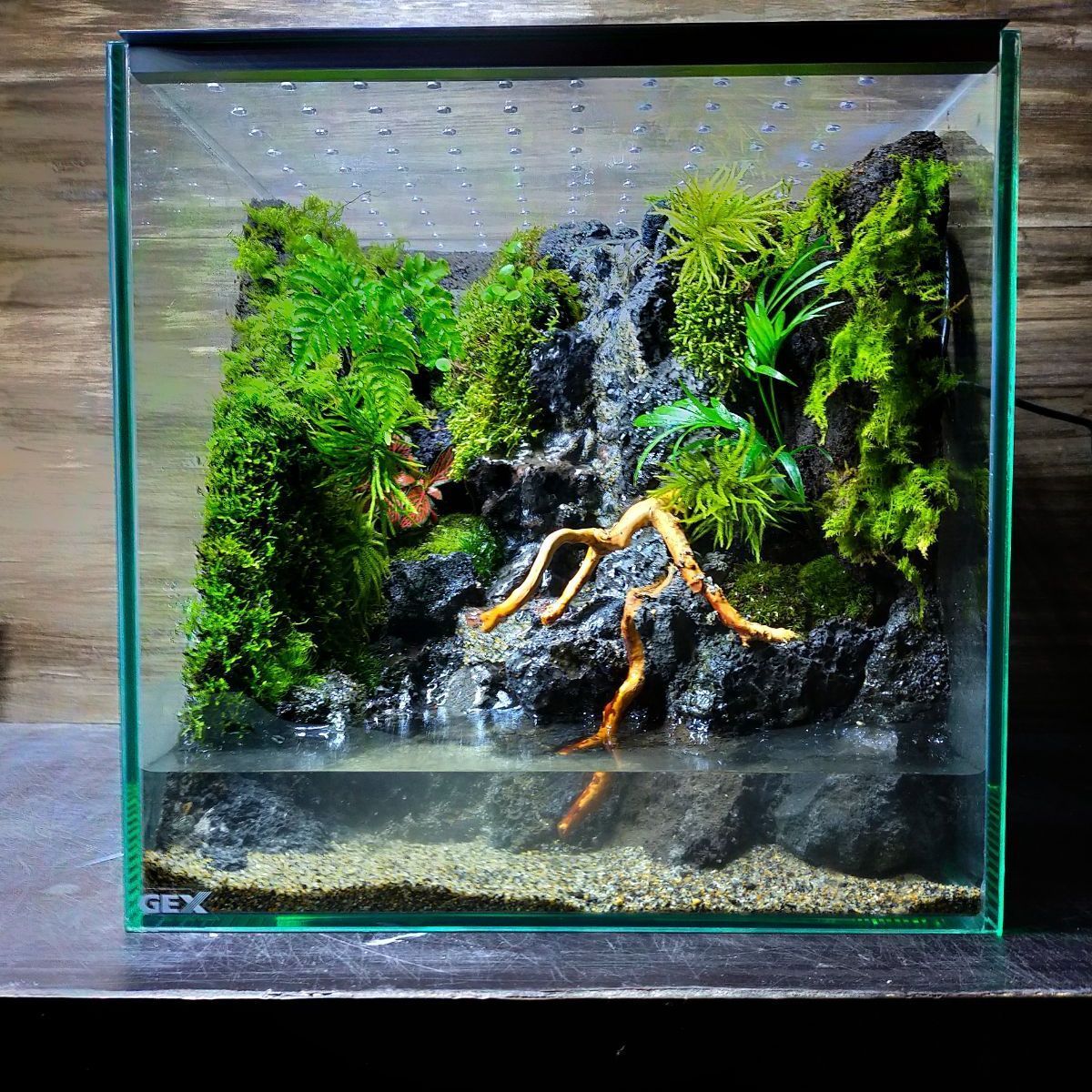 滝の流れるアクアテラリウム 20cm×20cm×25cm - 魚用品/水草 滝の流れるアクアテラリウム 20cm×20cm×25cm - 魚用品/水草