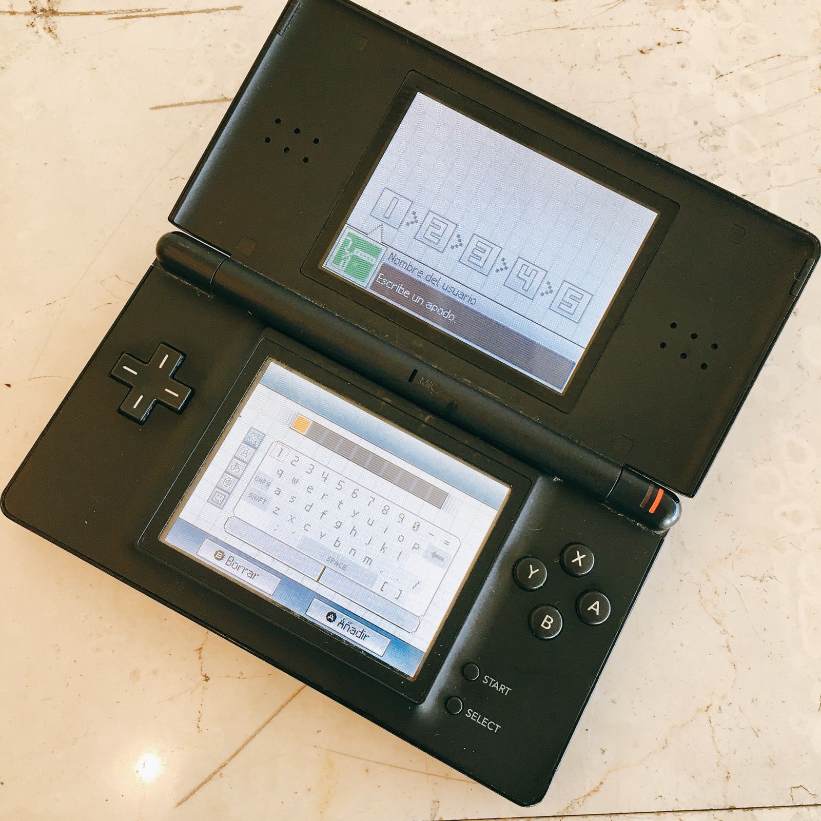 Nintendo DS Lite(ジャンク品) - Nintendo Switch