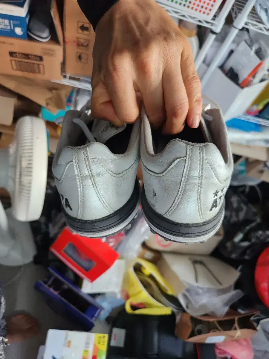 ☆太巻高級掛軸【菖蒲 あやめ】日本画家 田中基美◇紙本肉筆 共箱付