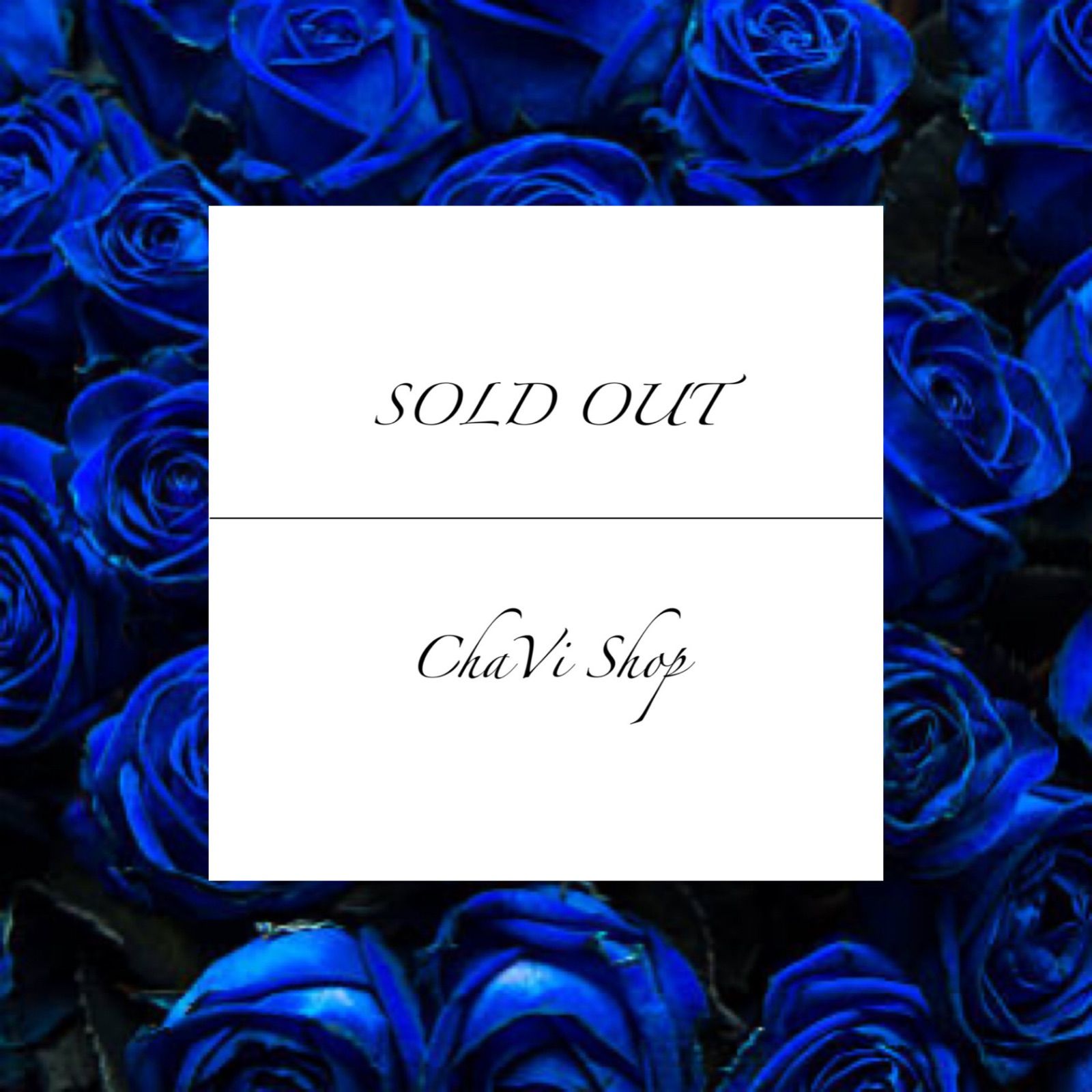 Vivian様❣️専用ページ Amazon.co.jp: セイワ(SEIWA) カーナビゲーション PIXYDA PNM88F