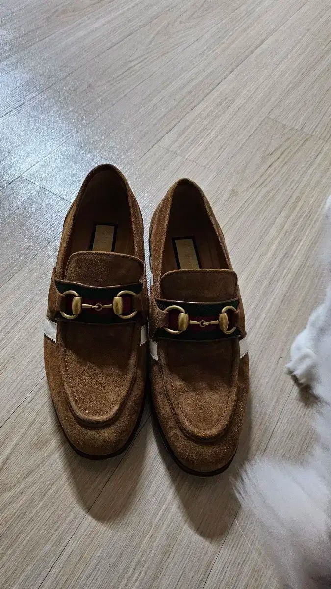 コラボ ホースビット