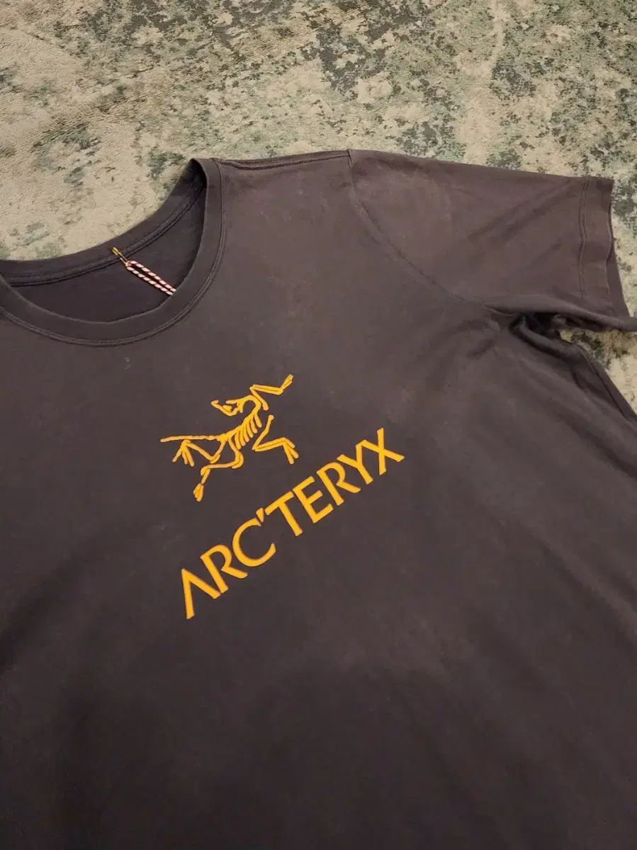 TERYX
