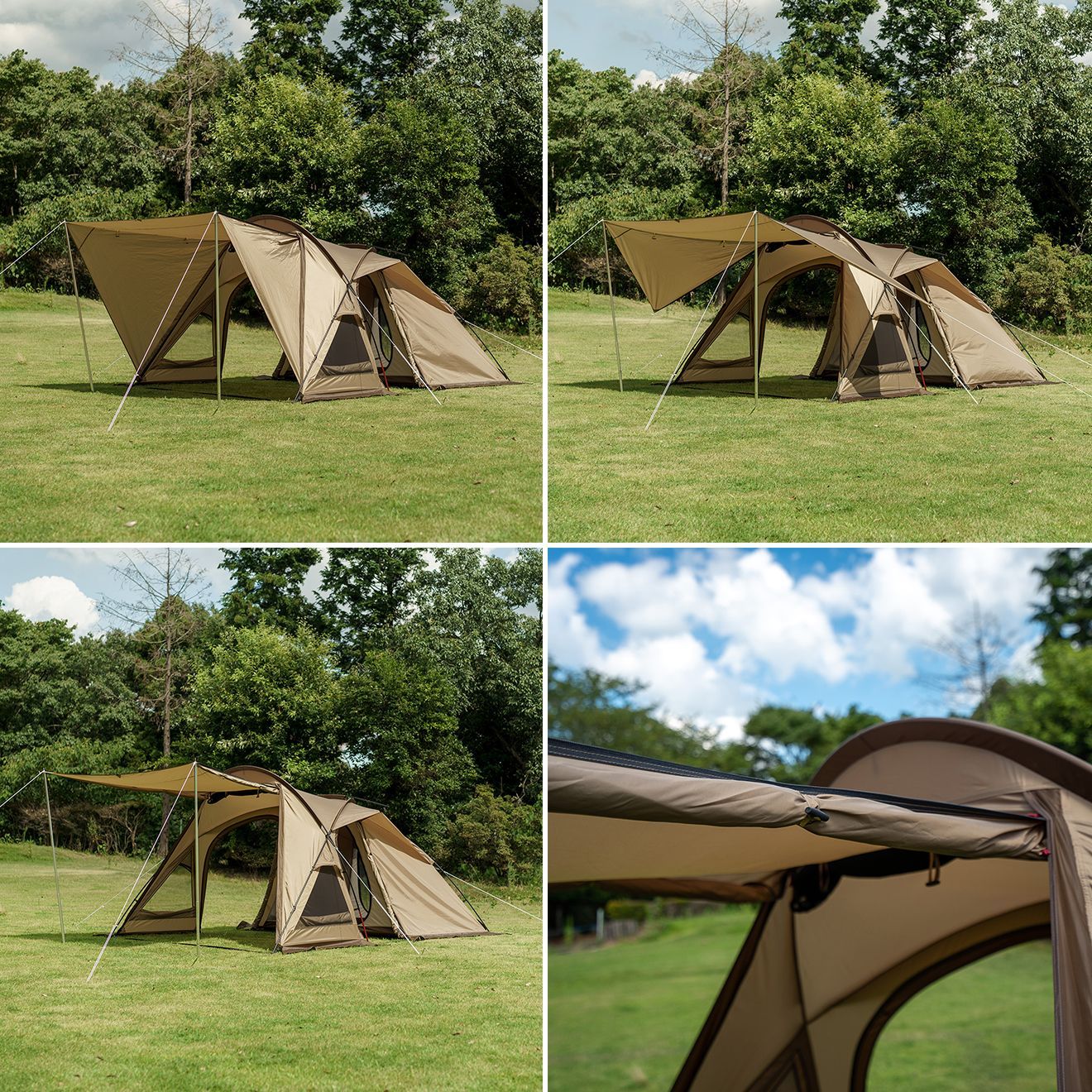 オガワ ヴィガスII