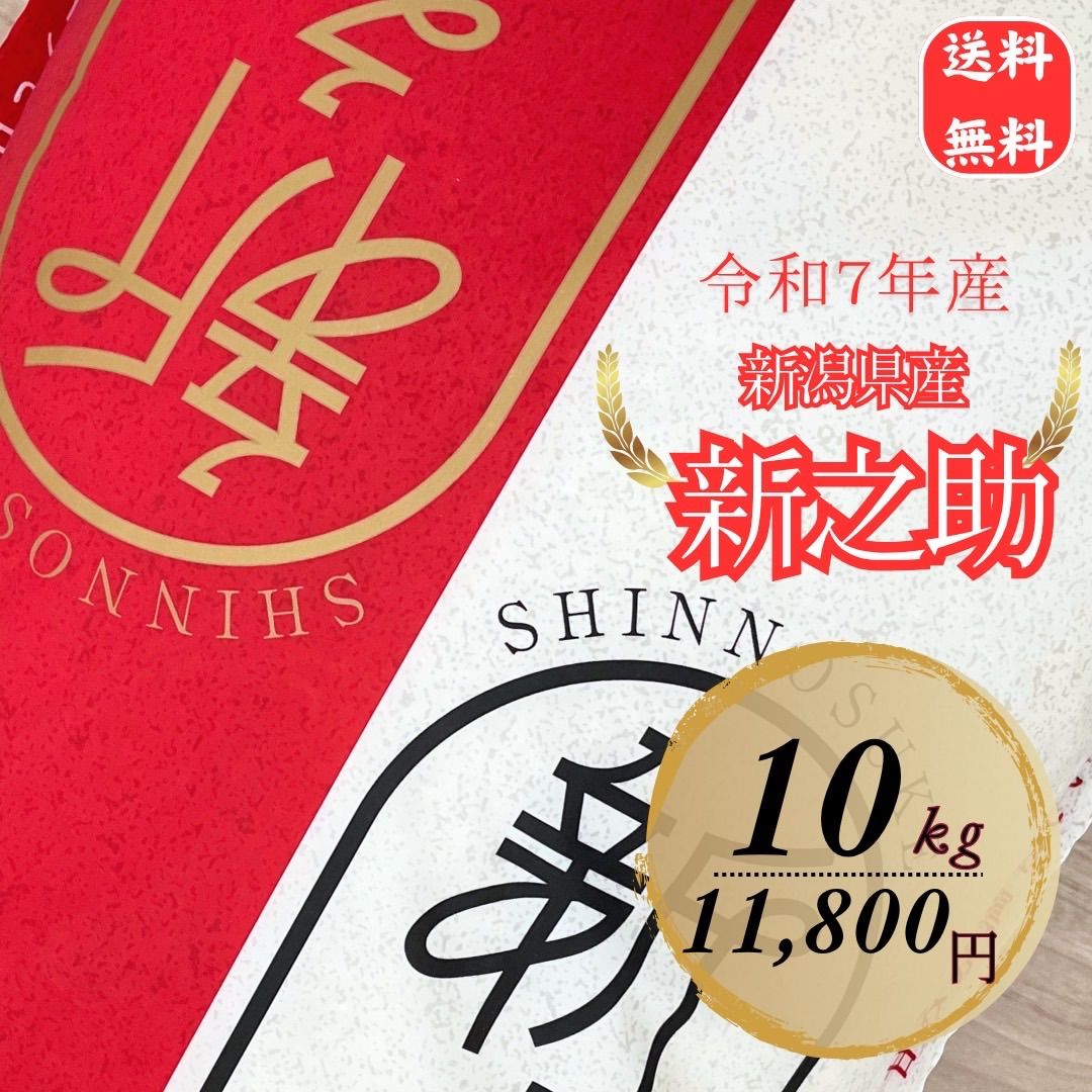 新米 令和7年度産 新潟県産新之助 １０ｋｇ白米