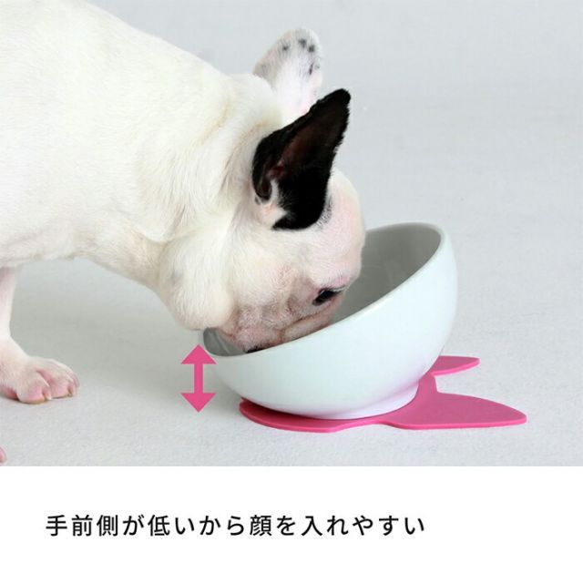 セット 犬