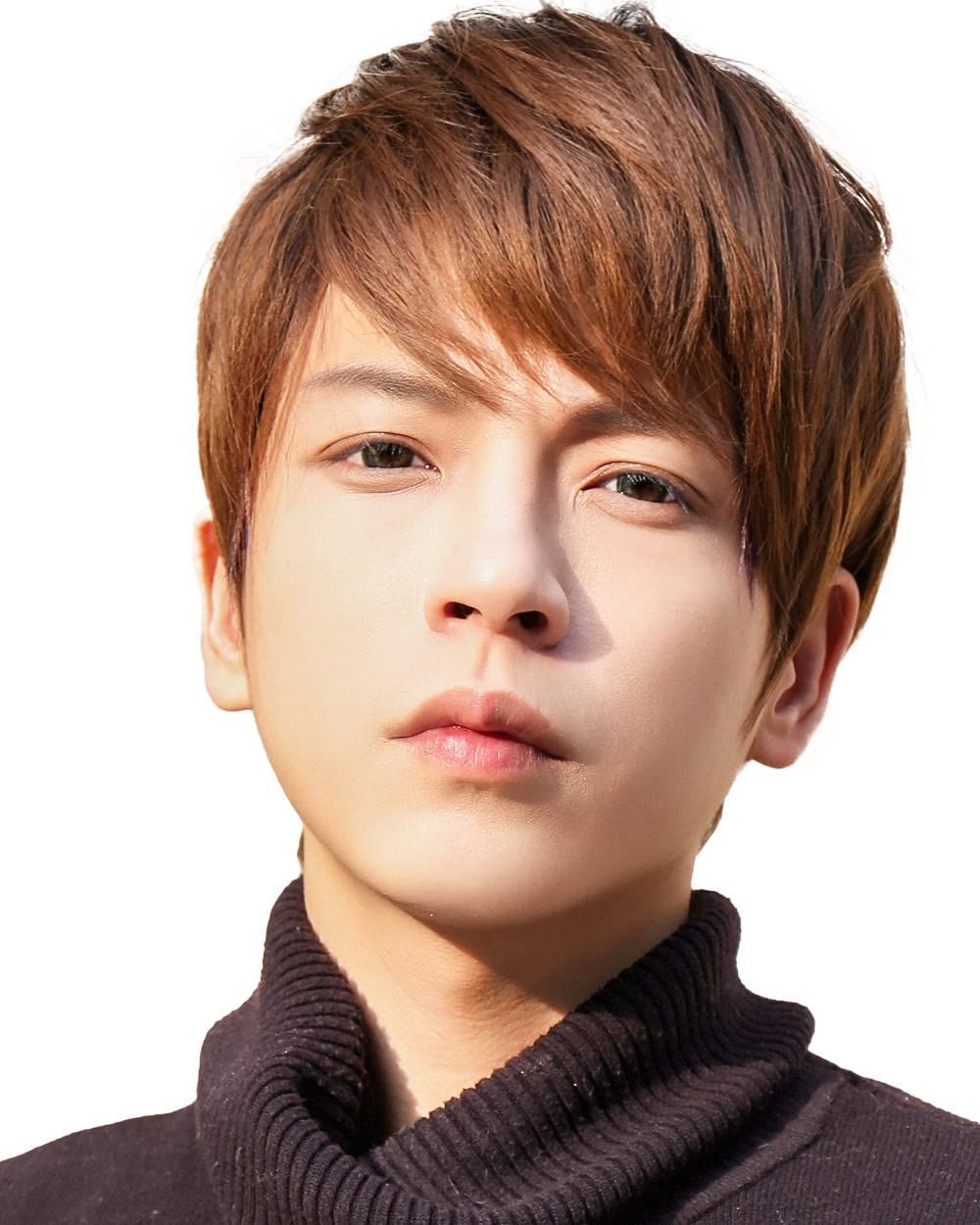 ブラック×ブラウン [TefuRe] メンズウィッグ ショート 自然 メンズ ウィッグ かつら 短髪 男子 韓国 韓国アイドル風 メッシュ グラデ 男性 女性 にも ウィッグネット 付 耐熱 ナチュラルショー