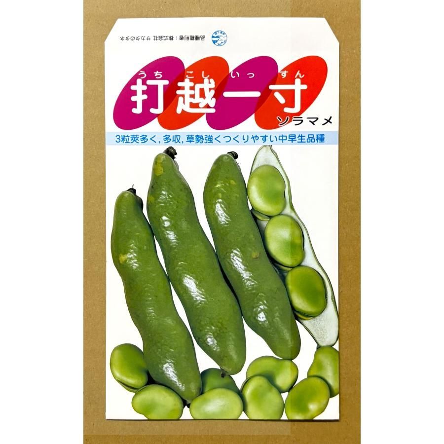 そらまめ　 そら豆煎餅 | んまや