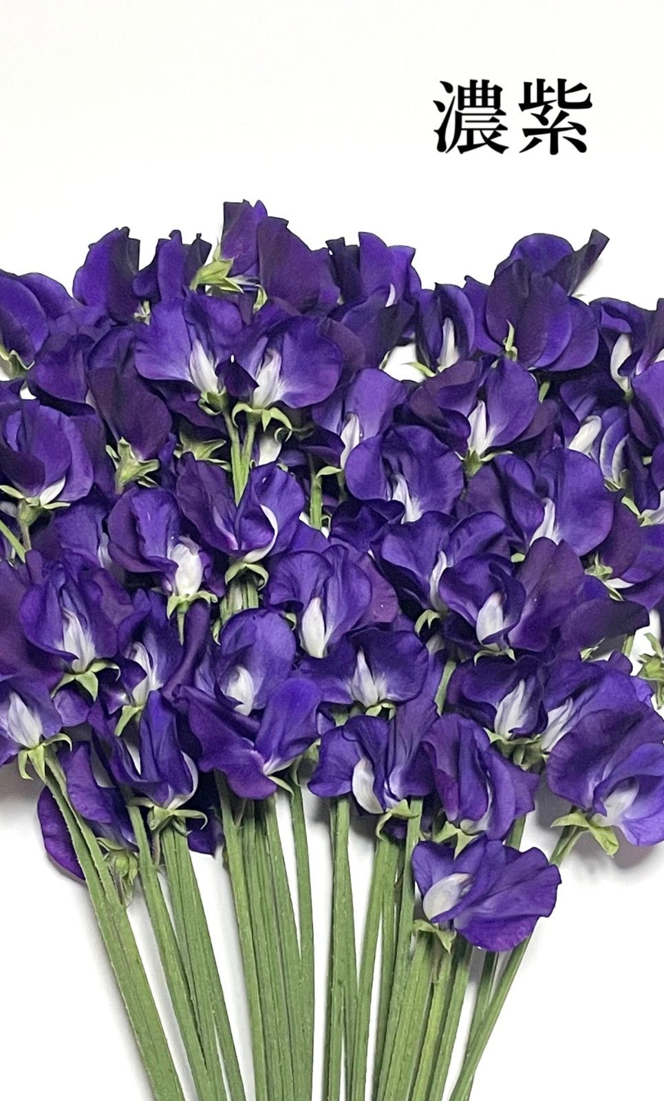 切り花 花束