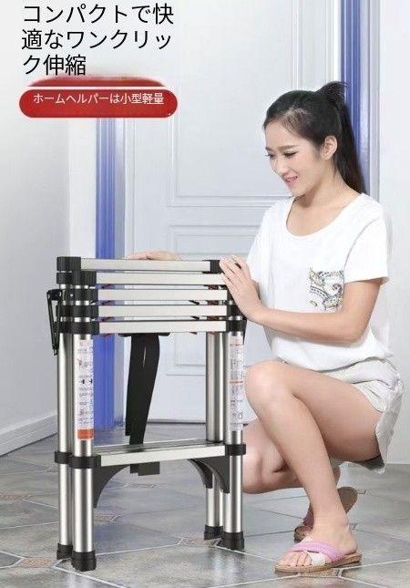 掃除 厚みのある伸縮式はしご