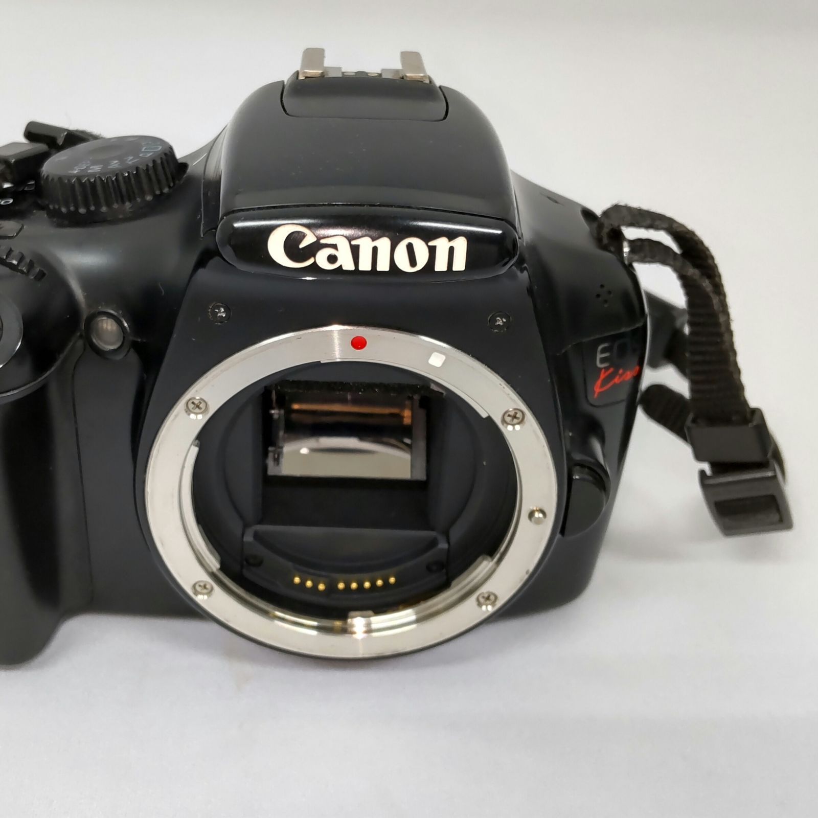 Canon デジタル一眼レフ DS126291 世界最軽量を実現したデジタル一眼