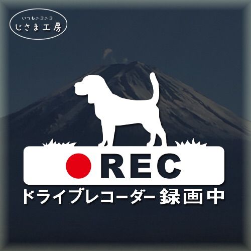 今大人気❣️ ビーグル犬のかわいいドラレコステッカー3種類です