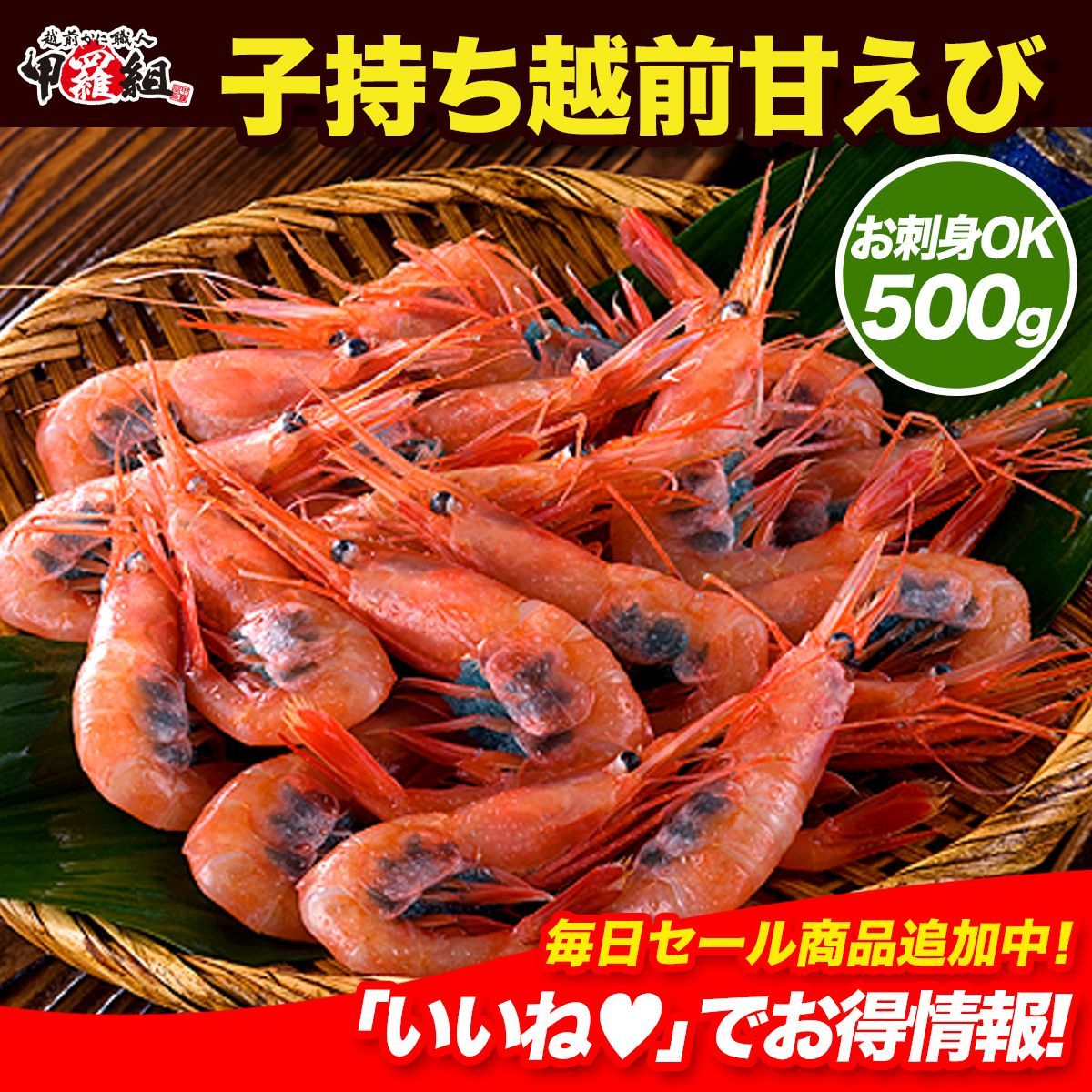 🦐 子持ち越前甘えび500g/約40尾入り【エビ】【えび】【海老】【あまえび】【アマエビ】【甘エビ】【甲羅組】