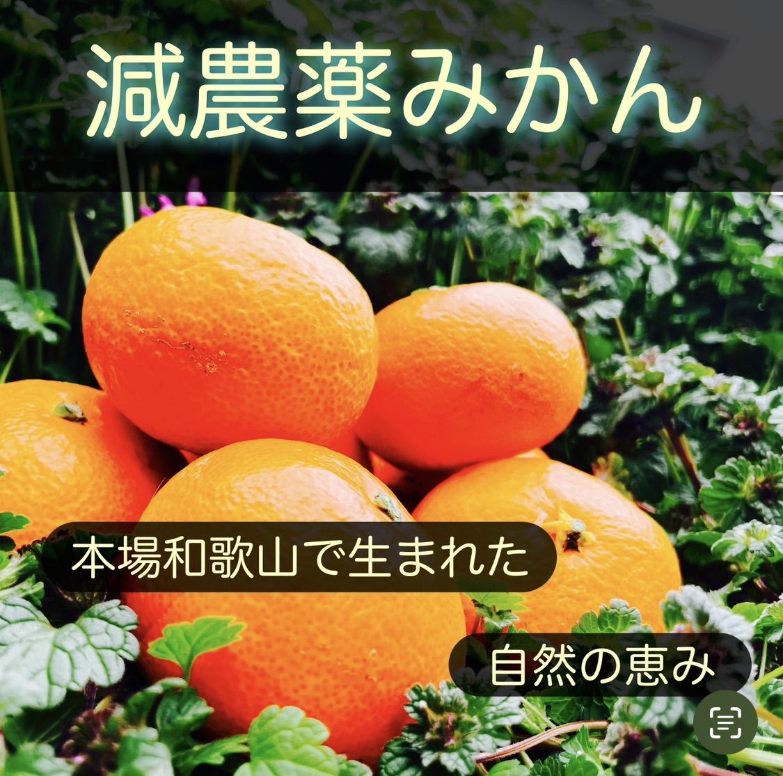 のサムネイル