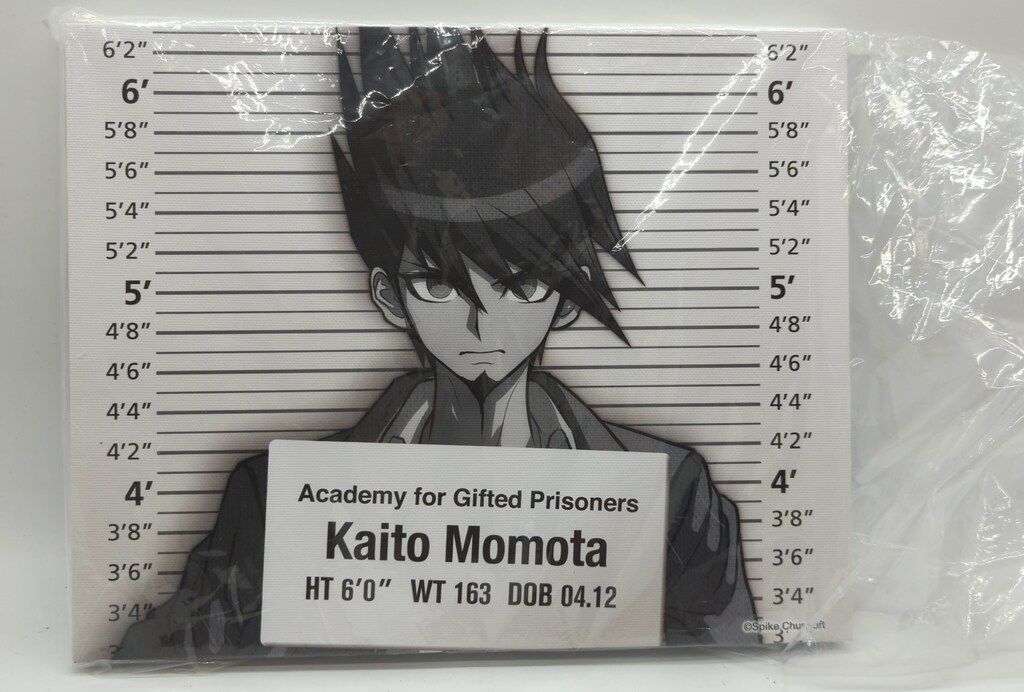 ダンガンロンパ 楽天コレクション キャンバスアート 百田解斗 王馬小吉 楽天コレクション/ニューダンガンロンパV3コレクション A賞キャンバス