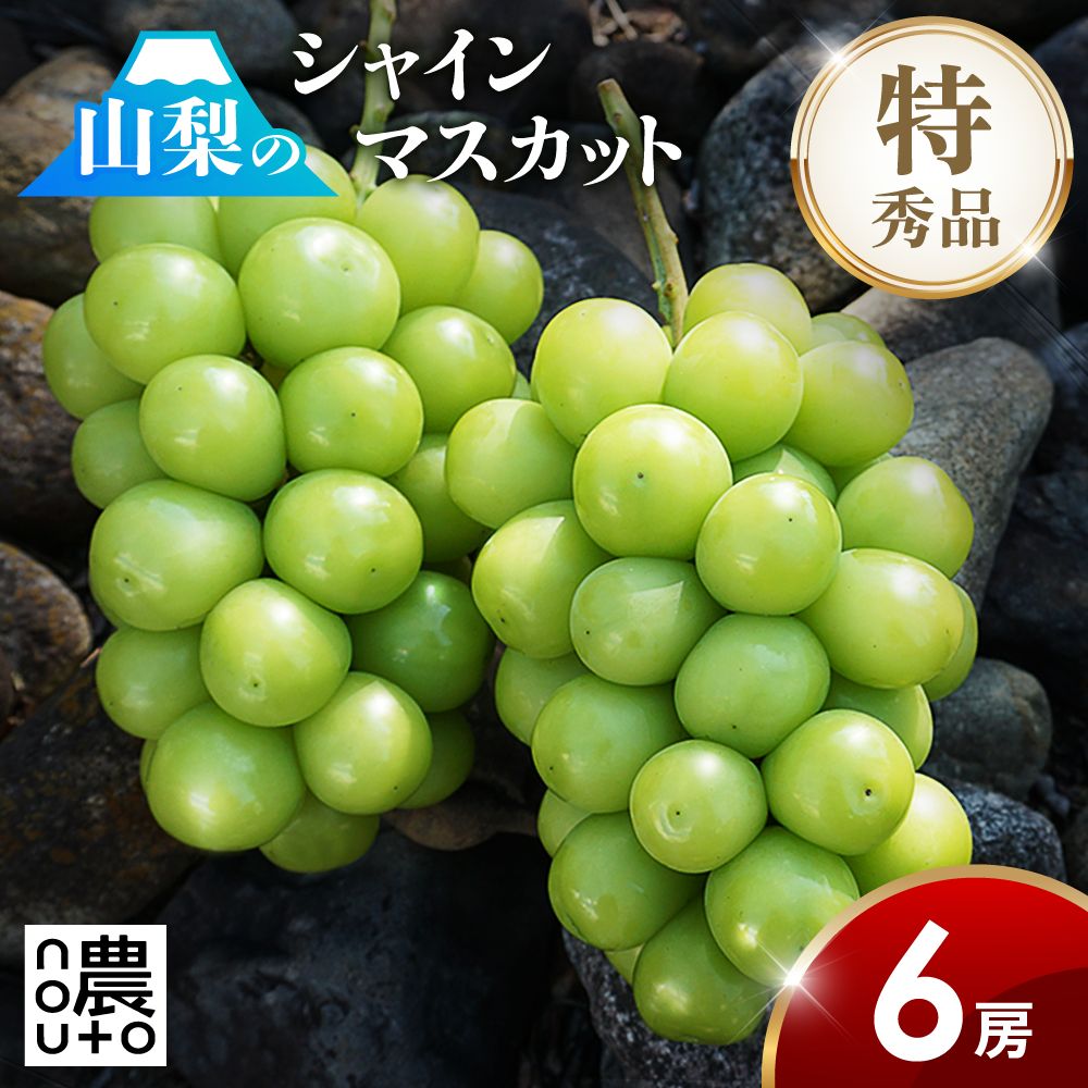 シャインマスカット 種なし 大粒 6房 (3.6kg以上) 山梨県産