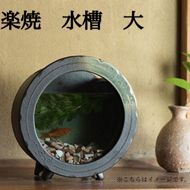 信楽焼 水槽 大 メダカ鉢 金魚鉢 陶器丸型水槽 管理番号SB395