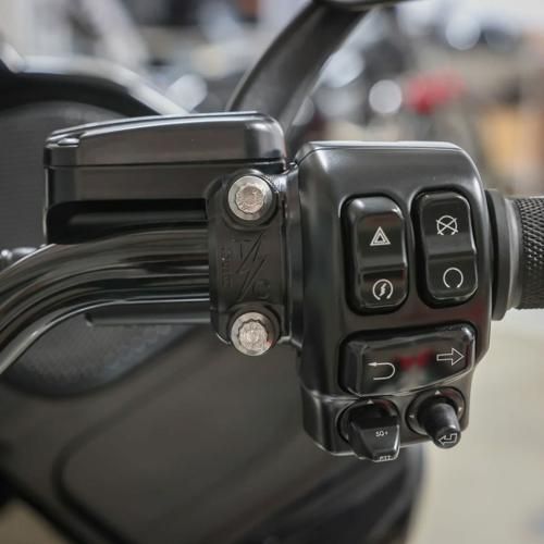 ソフテイルモデル