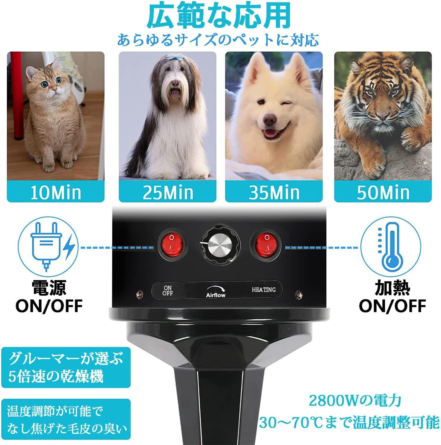 ブラック