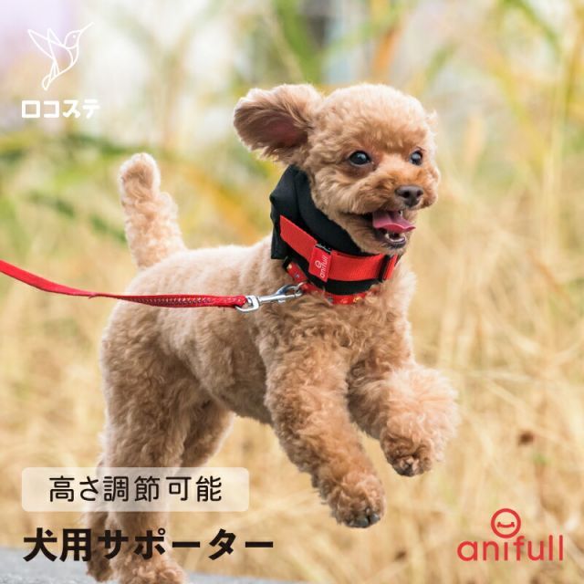 アニサポ ネック アニフル ダイヤ工業 日本製 犬用品 犬用 犬 小型犬 首 頸椎 サポーター 固定 制限 アニサポネック 首コルセット コルセット  犬用首サポーター 犬用首コルセット 犬用コルセット 首の痛み - メルカリ