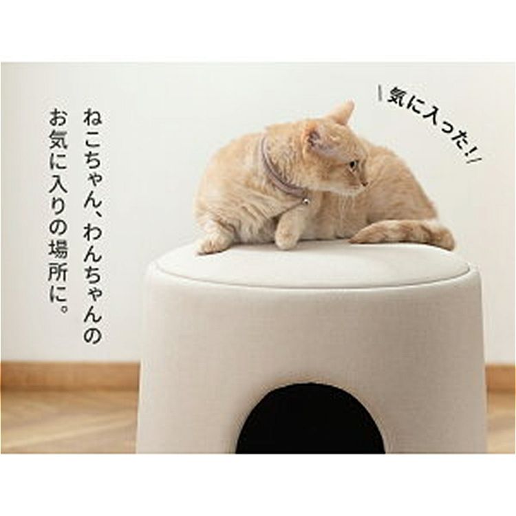 チェア