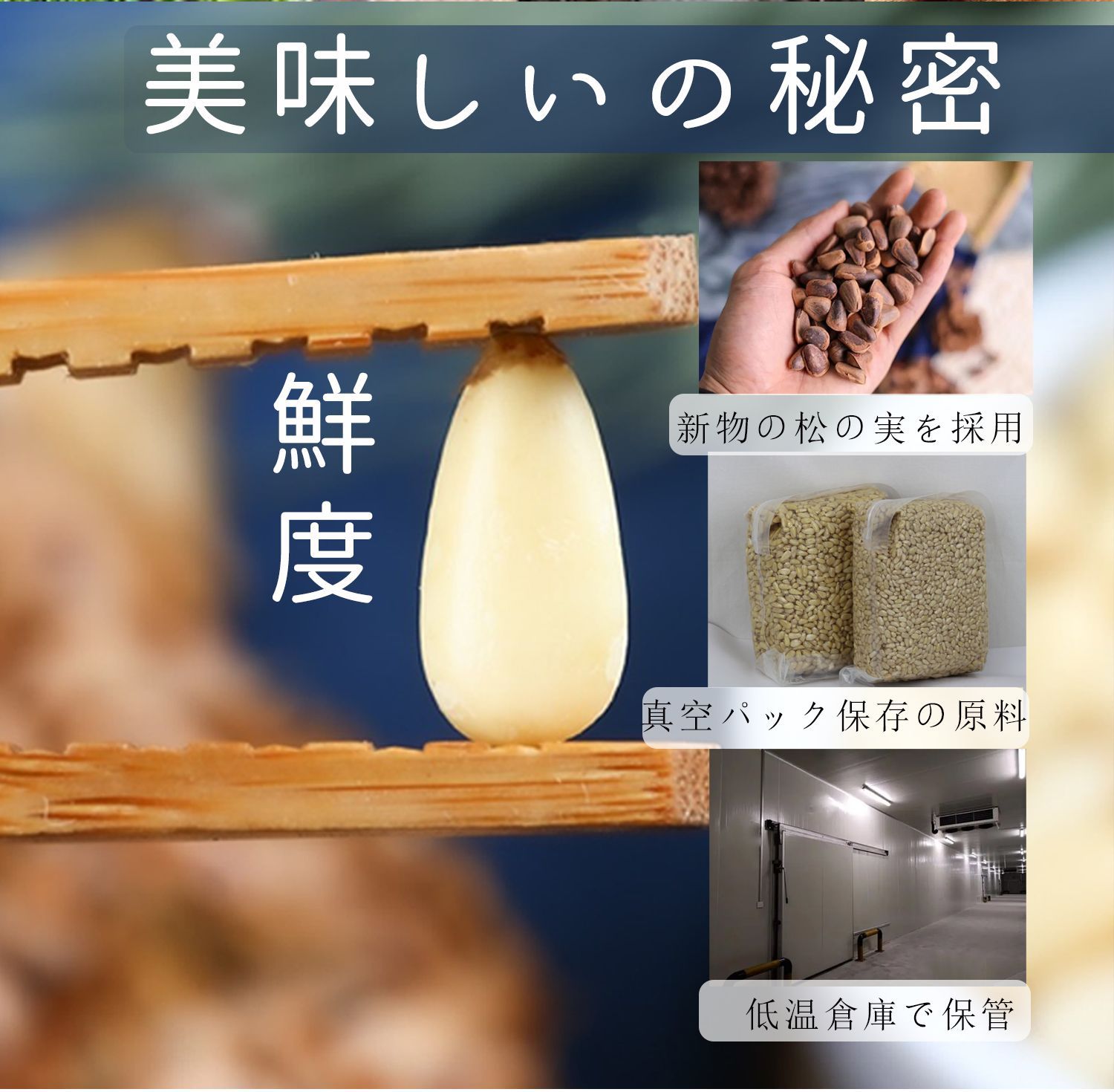 松の実 500g 特級AAグレード 大粒 生松の実 無添加 チャック袋