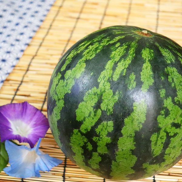 父の日