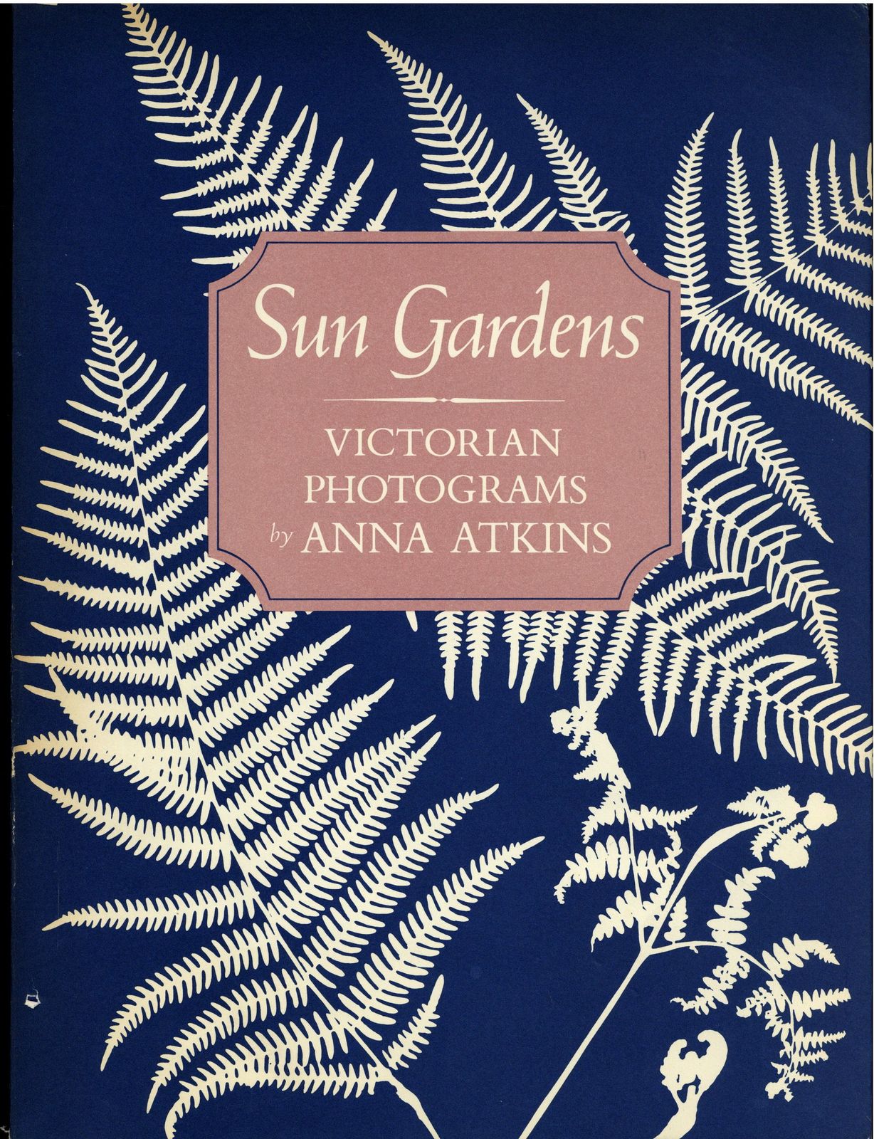 Anna Atkins Sun Gardens: Victorian Photograms