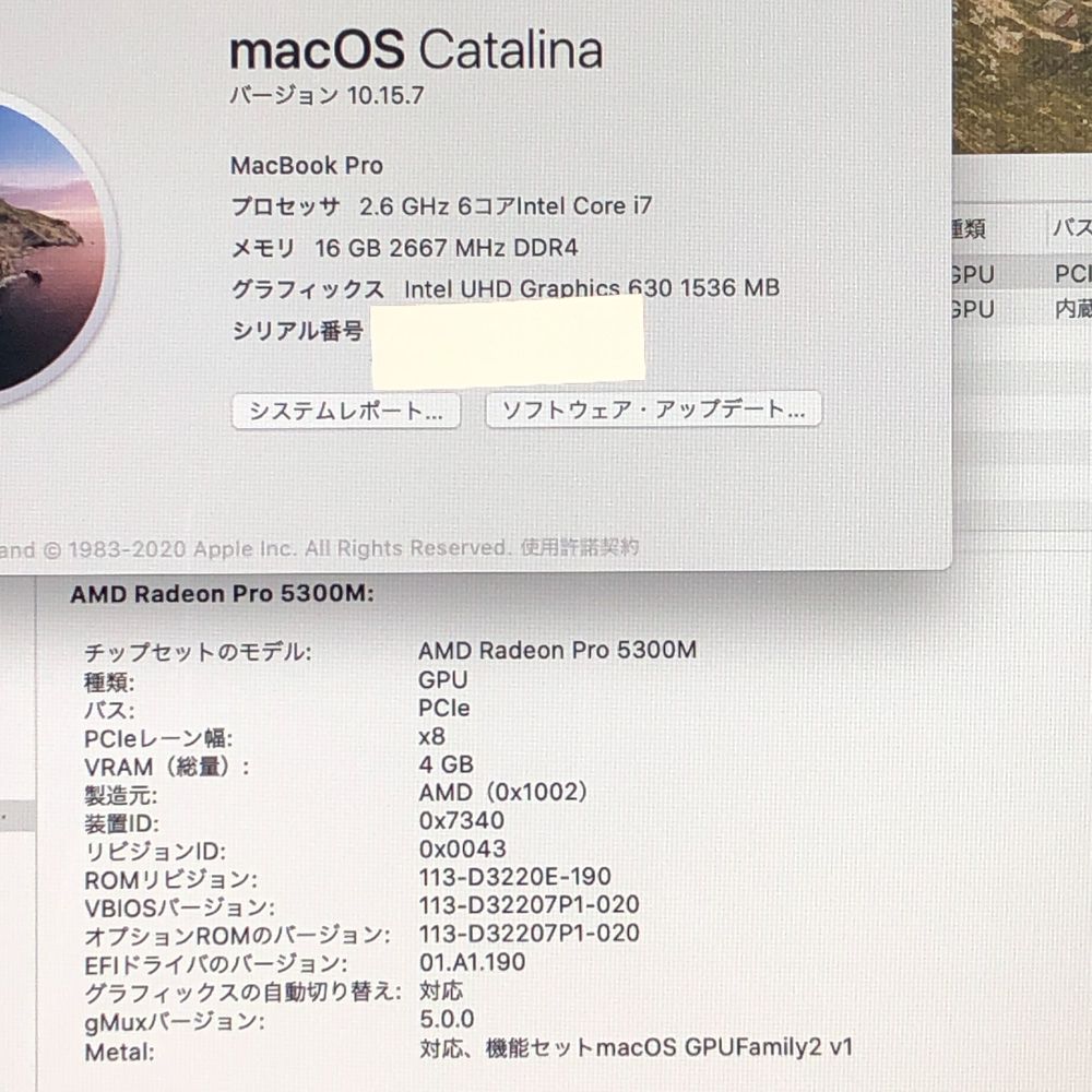 ◆ジャンク品 本体のみ◆Apple MacBook Pro 16インチ 2019 Radeon Pro 5300M i7 16GB 512GB 画面表示色異常 A2141 EMC3347 MB-JUNK-251619 351861