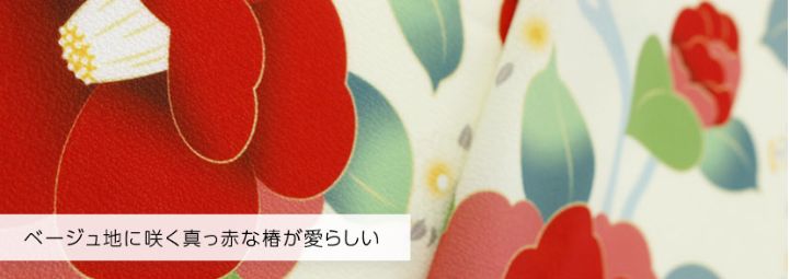着付け簡単袴セット